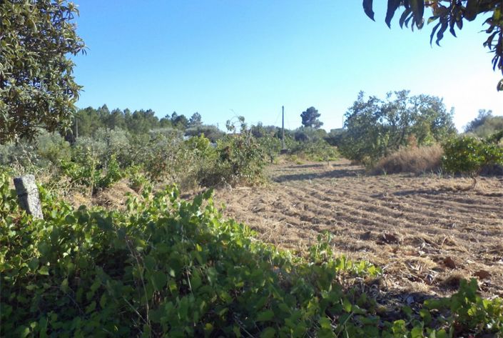 Image No.13-Property for sale