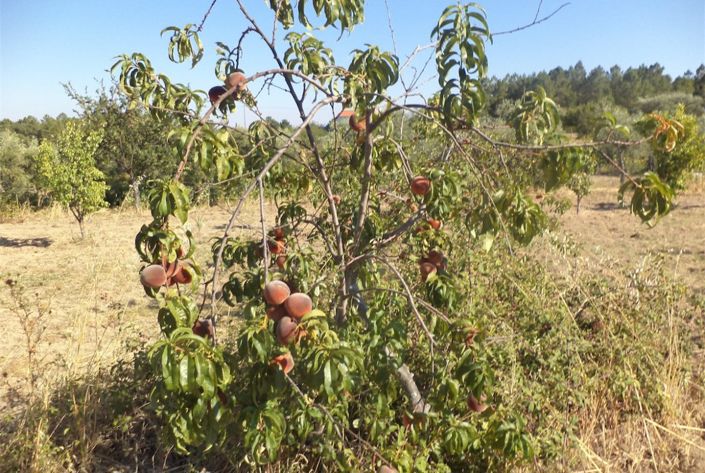 Image No.14-Property for sale