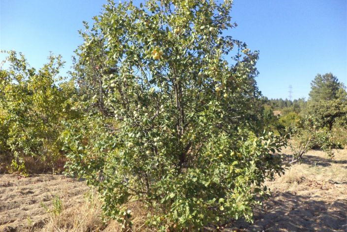 Image No.15-Property for sale