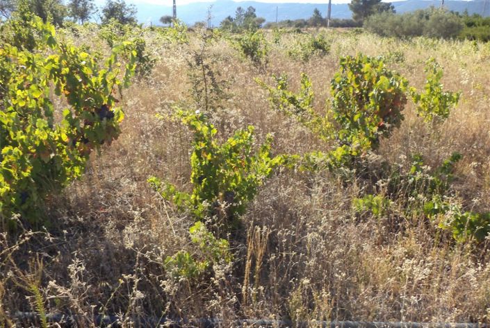 Image No.17-Property for sale