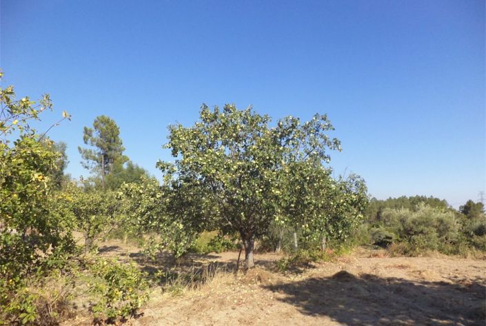 Image No.19-Property for sale