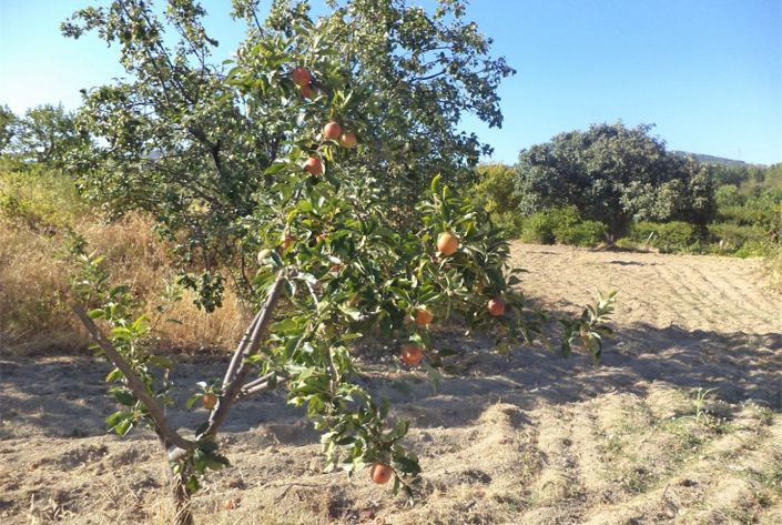 Image No.2-Property for sale