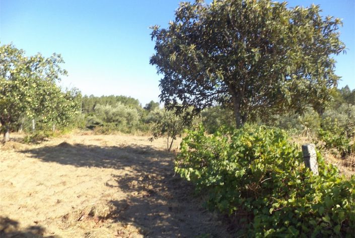 Image No.20-Property for sale