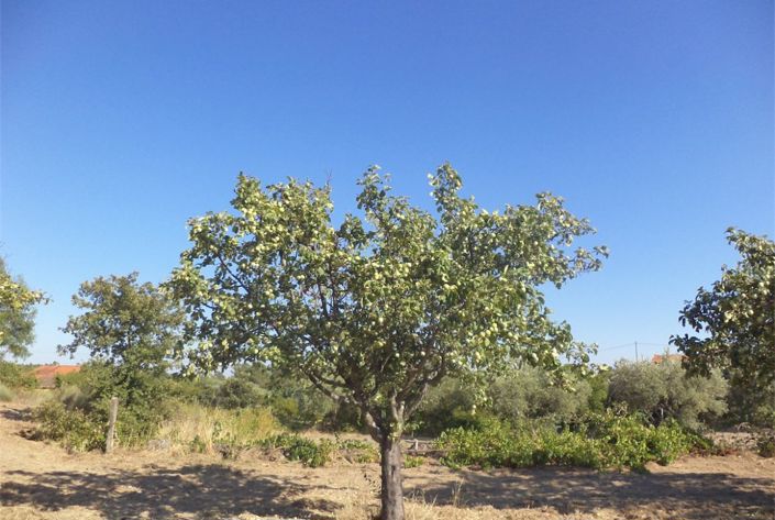 Image No.22-Property for sale