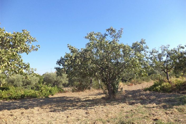 Image No.23-Property for sale