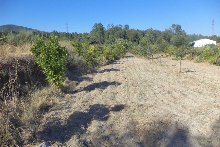 Image No.28-Property for sale