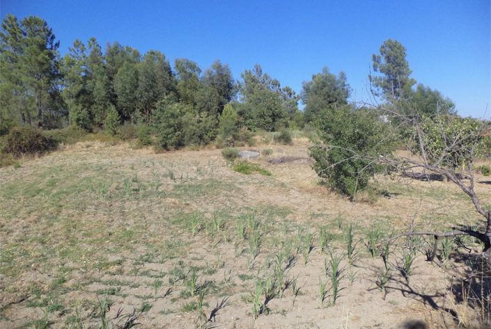 Image No.30-Property for sale