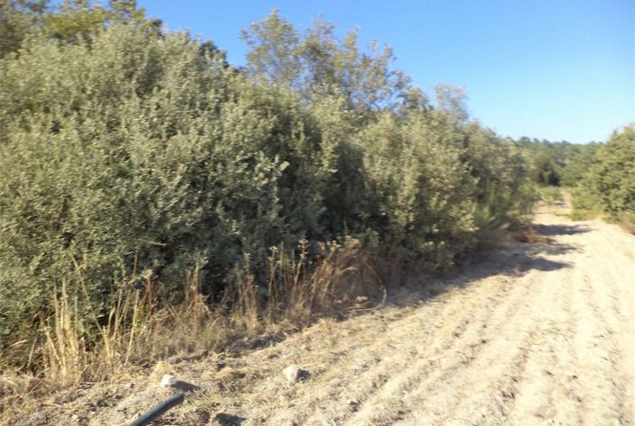 Image No.37-Property for sale