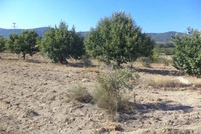 Image No.41-Property for sale