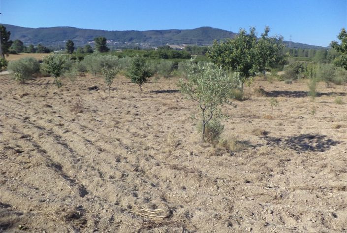 Image No.42-Property for sale