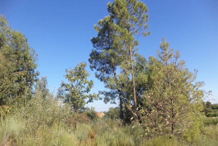 Image No.45-Property for sale