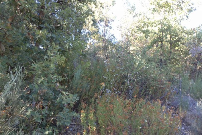 Image No.46-Property for sale