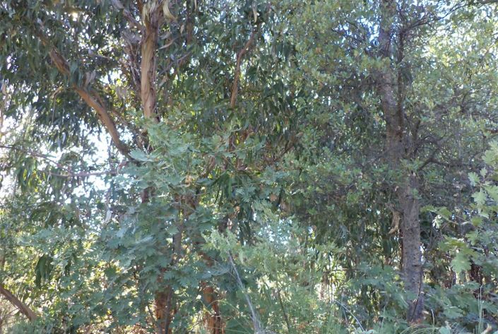 Image No.48-Property for sale