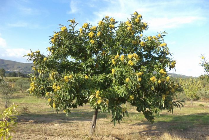 Image No.7-Property for sale