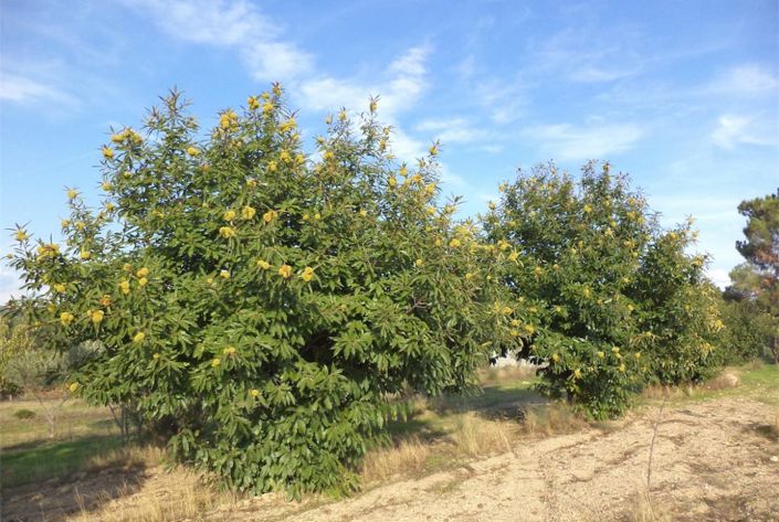 Image No.8-Property for sale