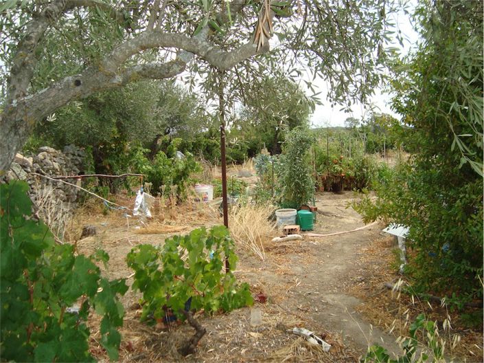 Image No.10-Propriété à vendre à Castelo Branco