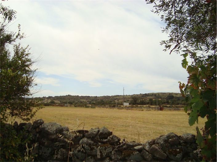 Image No.12-Propriété à vendre à Castelo Branco