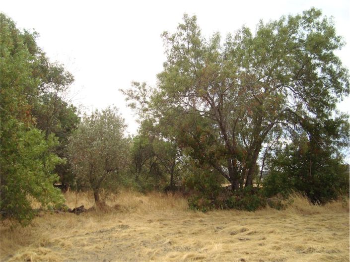 Image No.13-Propriété à vendre à Castelo Branco