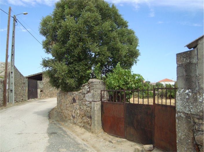 Image No.2-Propriété à vendre à Castelo Branco