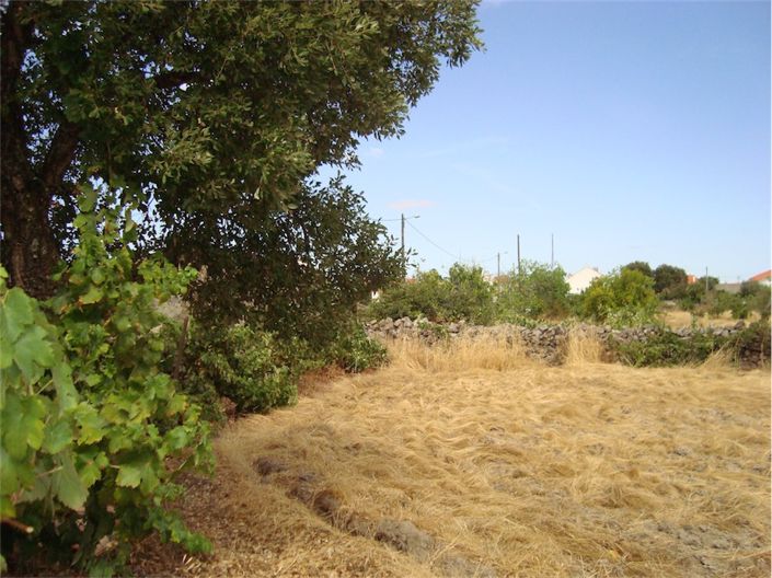 Image No.3-Propriété à vendre à Castelo Branco