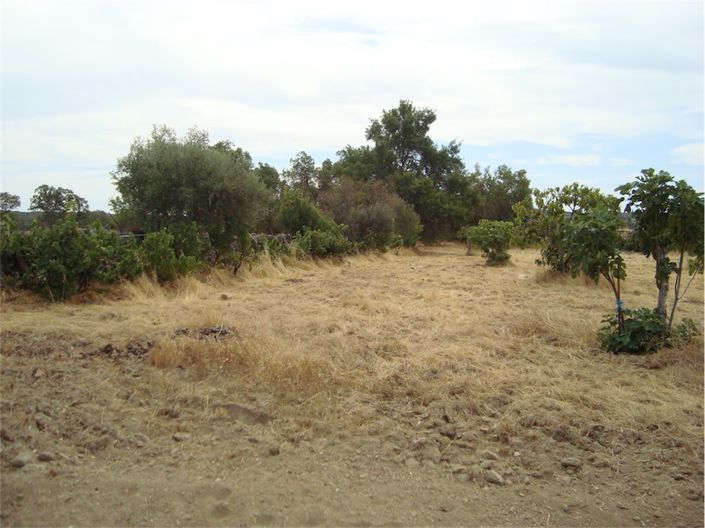 Image No.6-Propriété à vendre à Castelo Branco