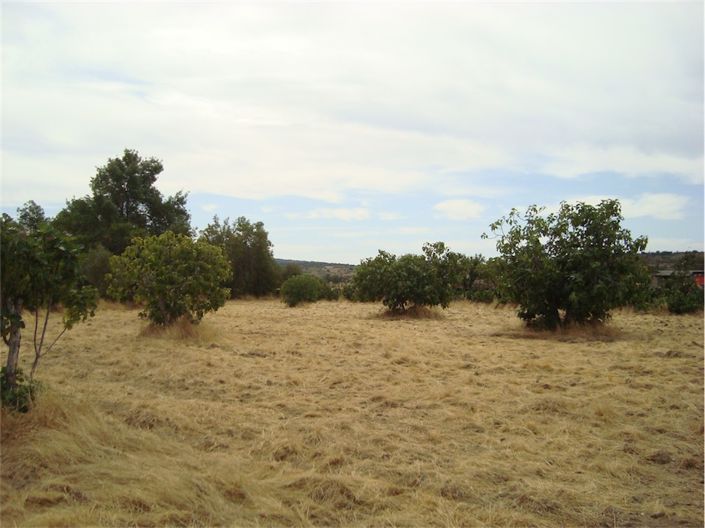 Image No.7-Propriété à vendre à Castelo Branco