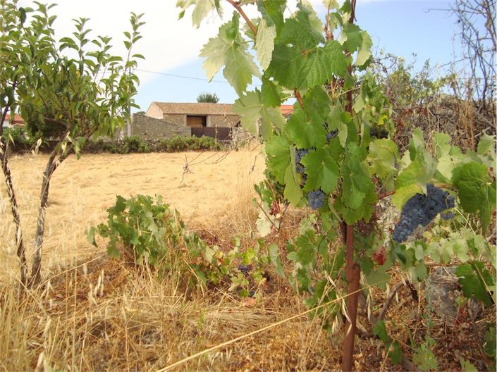 Image No.9-Propriété à vendre à Castelo Branco