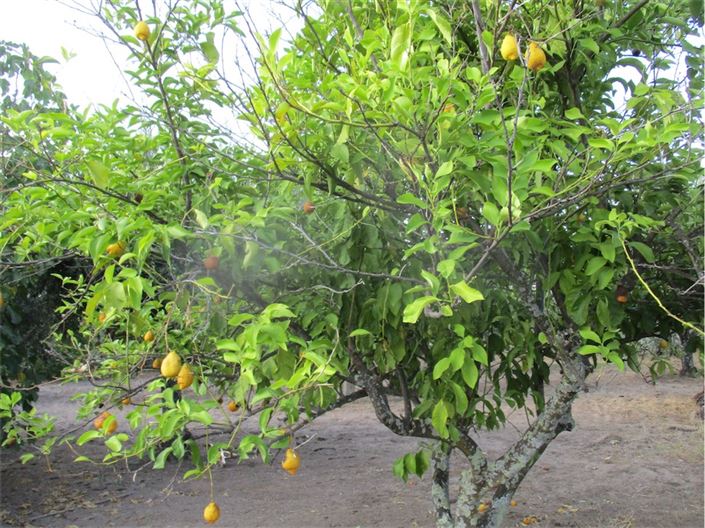 Image No.11-Property for sale