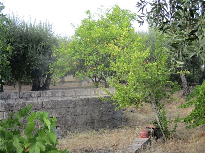 Image No.12-Property for sale