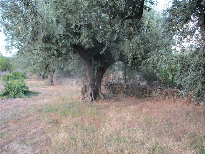 Image No.14-Property for sale