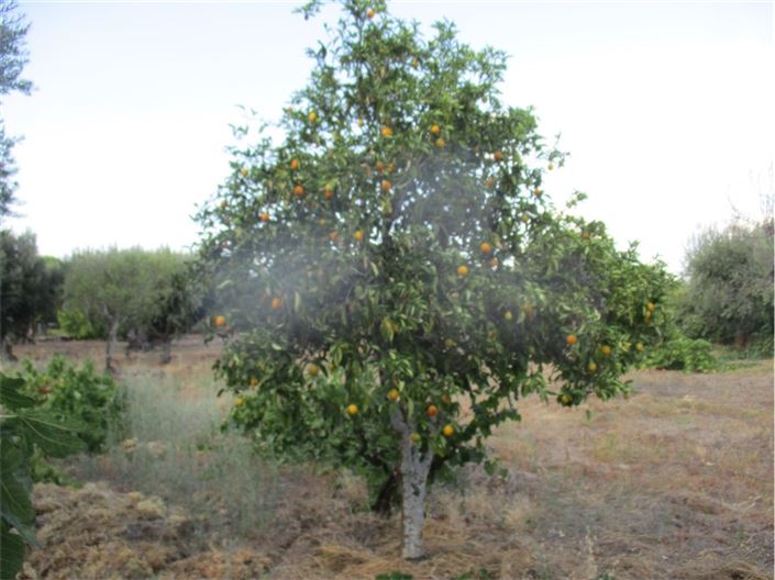 Image No.15-Property for sale