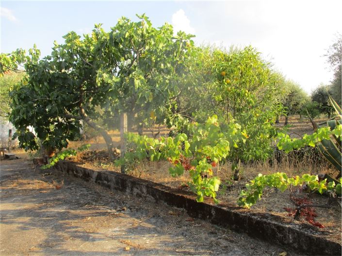 Image No.17-Property for sale