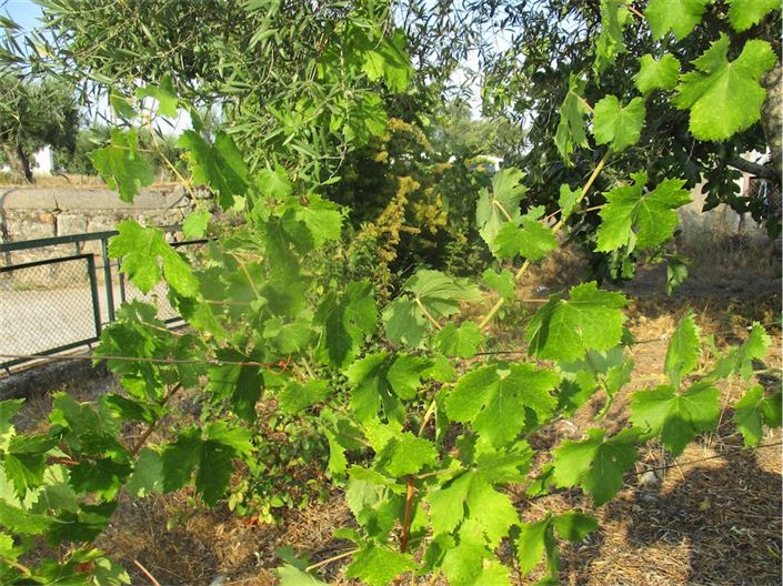 Image No.18-Property for sale