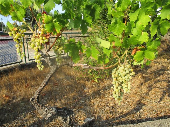 Image No.19-Property for sale