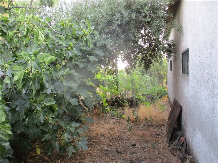 Image No.24-Property for sale