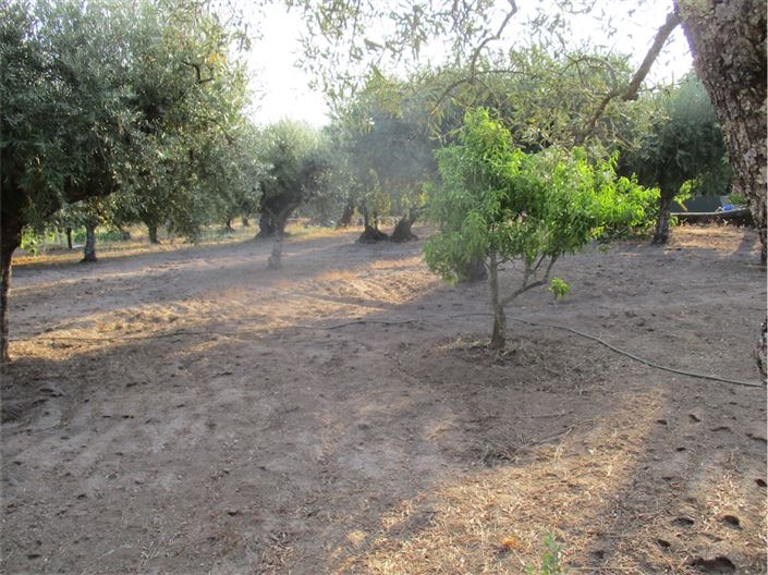 Image No.39-Property for sale