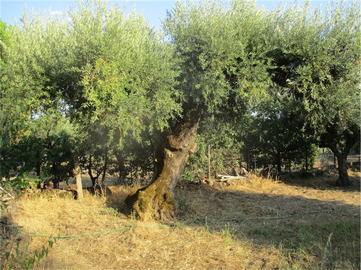 Image No.40-Property for sale