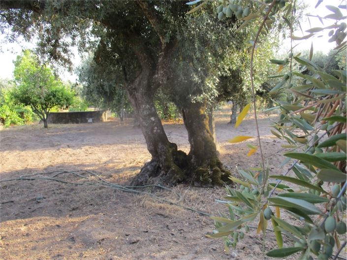 Image No.41-Property for sale