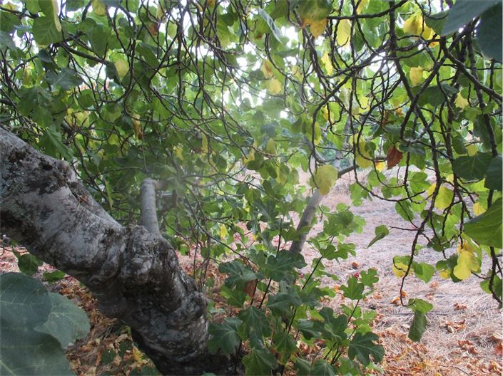 Image No.42-Property for sale