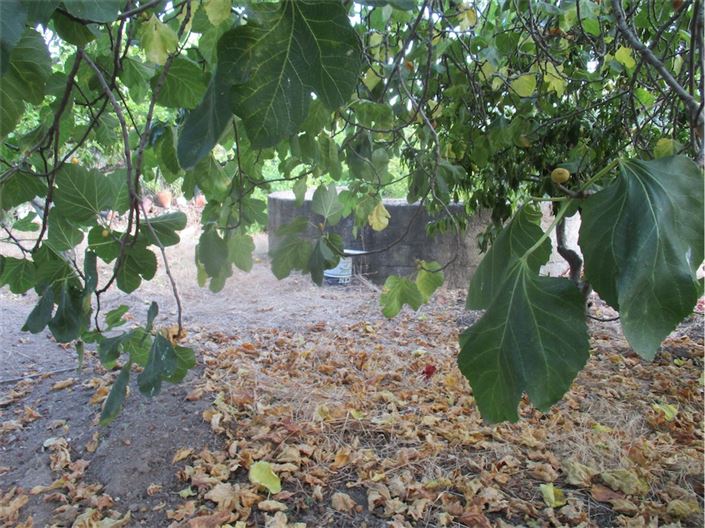 Image No.43-Property for sale