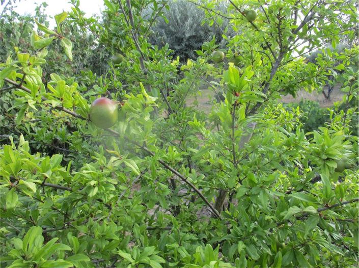 Image No.44-Property for sale