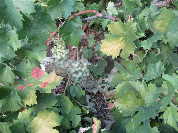 Image No.45-Property for sale