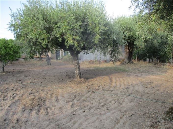 Image No.6-Property for sale