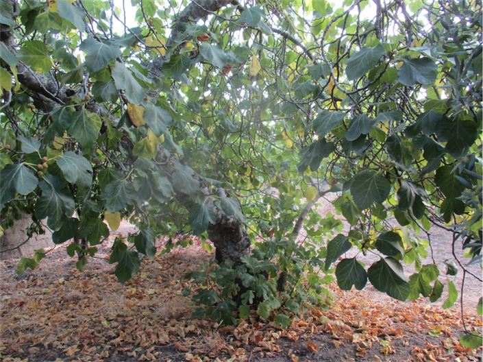 Image No.7-Property for sale