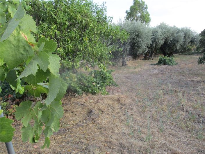 Image No.8-Property for sale