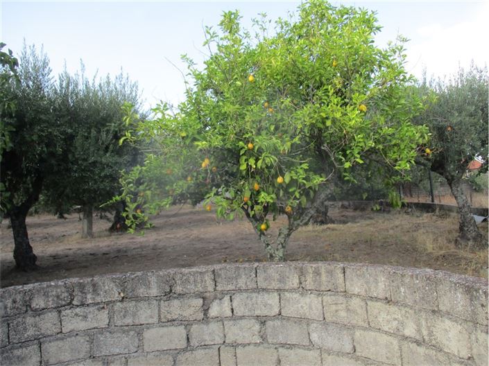 Image No.9-Property for sale