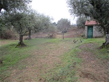 1 - Castelo Branco, Property