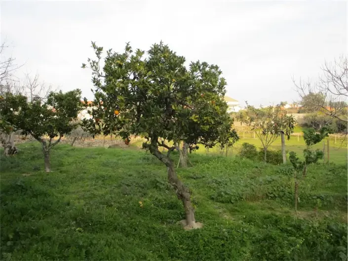 Image No.10-Property for sale