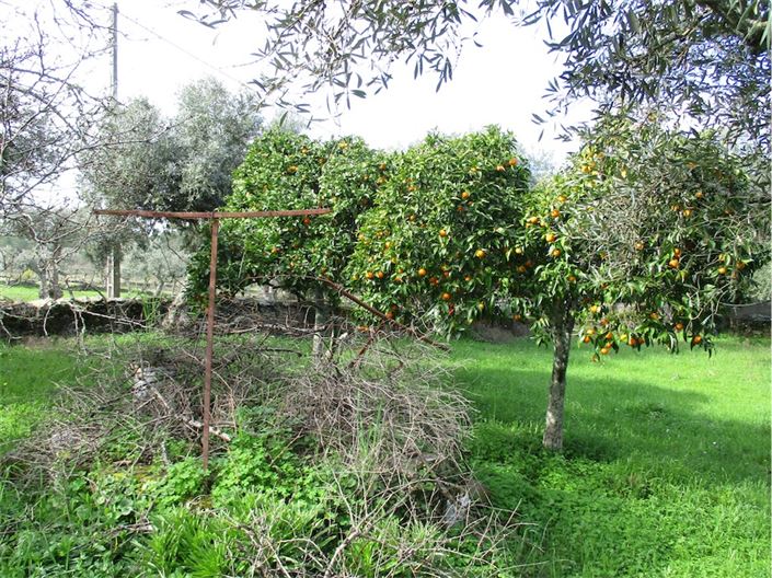 Image No.11-Property for sale