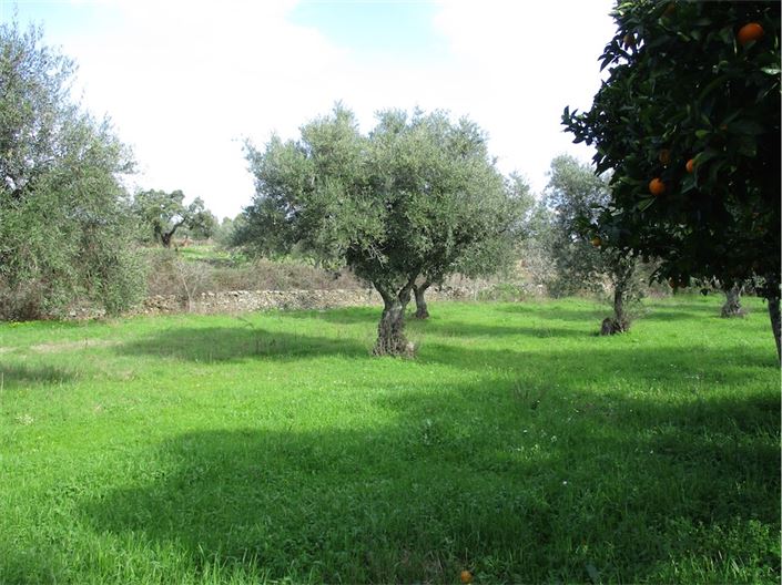 Image No.17-Property for sale